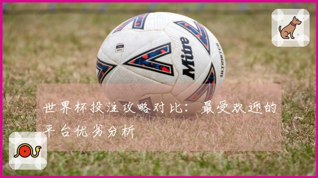 世界杯投注攻略对比：最受欢迎的平台优劣分析