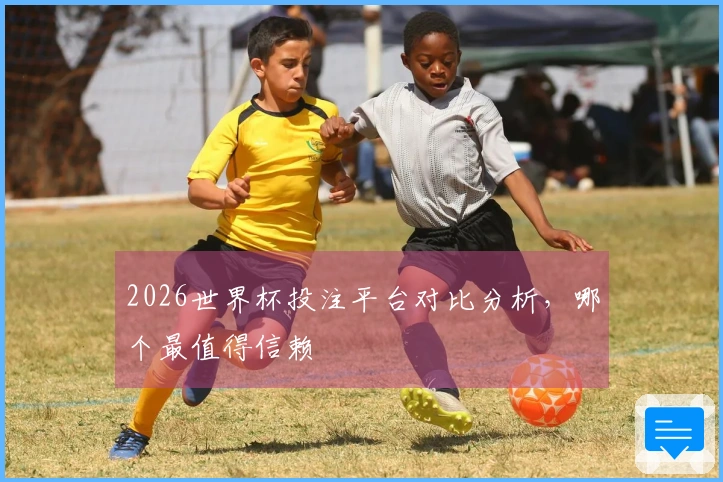2026世界杯投注平台对比分析，哪个最值得信赖