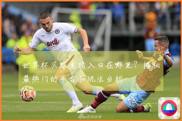 世界杯买球竞猜入口在哪里？揭秘最热门的平台和玩法分析