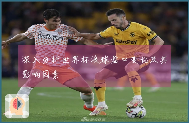 深入分析世界杯滚球盘口变化及其影响因素