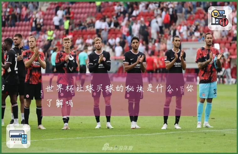 世界杯让球买球的秘诀是什么，你了解吗