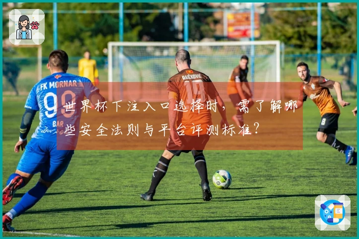 世界杯下注入口选择时，需了解哪些安全法则与平台评测标准？