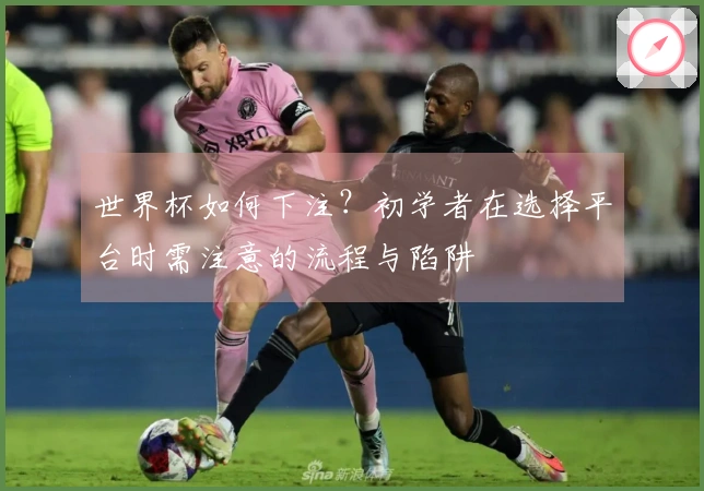 世界杯如何下注？初学者在选择平台时需注意的流程与陷阱