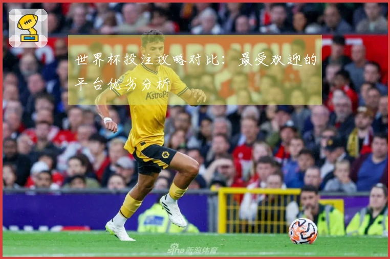 世界杯投注攻略对比：最受欢迎的平台优劣分析