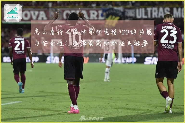 怎么看待不同世界杯竞猜App的功能与安全性？选择前需知哪些关键要素？