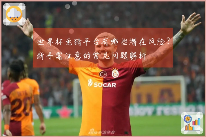 世界杯竞猜平台有哪些潜在风险？新手需注意的常见问题解析