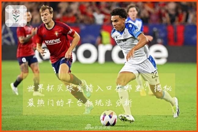 世界杯买球竞猜入口在哪里？揭秘最热门的平台和玩法分析